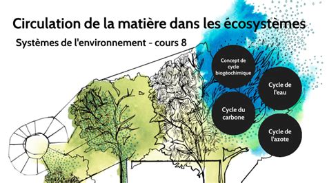 Circulation de la matière dans les écosystèmes by Bernard Lasnier on Prezi