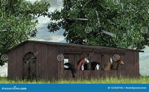 Cavalos Em Um Celeiro De Madeira Velho Entre árvores Foto de Stock