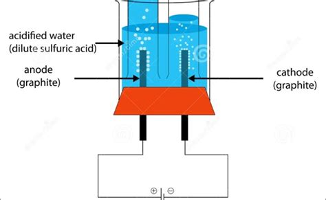 Fully Labeled Diagram Of The Electrolysis Of Water Stock Illustration Illustration Of Diagram