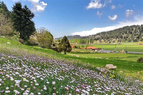 12 Incredible Photos of Spring in Lebanon - Lebanon Traveler