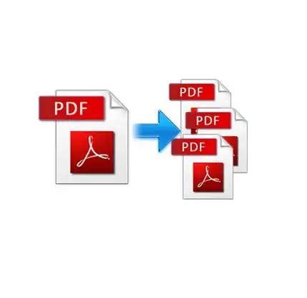 Cómo eliminar páginas de un pdf 2025 brenp