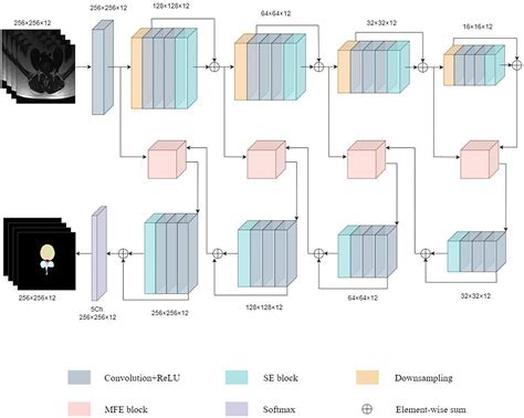 3D Multi Scale Feature Extraction And Recalibration Network For Spinal