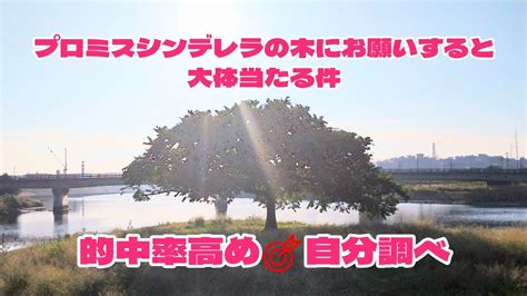 何かにすがることで自分が幸せならそれでいいのでは⁉️ Youtube