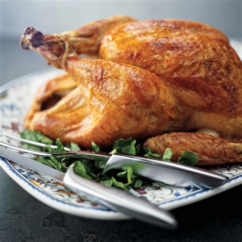 Roast Crisped Skin Turkey Recipe America S Test Kitchen