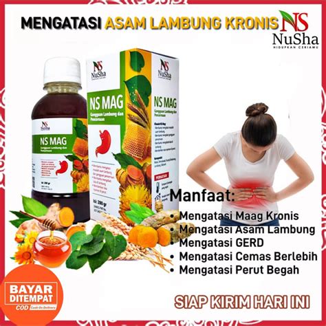 Jual Rumah Herbal Ciganjur Madu NS MAG NUSHA Obat Asam Lambung