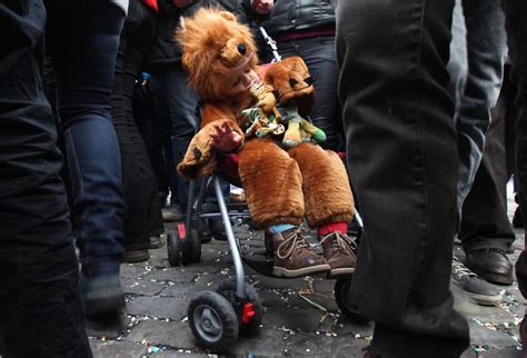 Il Carnevale Di Binche Libero Quotidiano