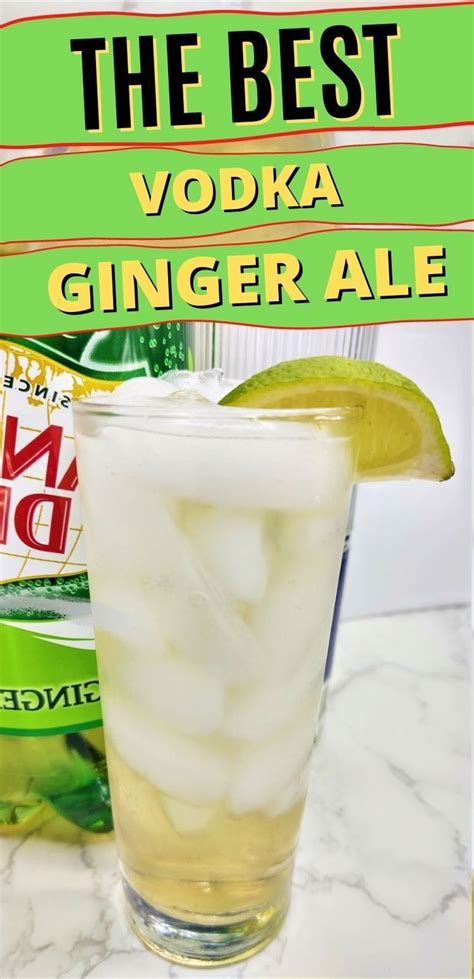 Vodka And Ginger Ale | Occasional Cocktails | Recipe | Vodka ginger ale, Ginger ale mixed drinks ...