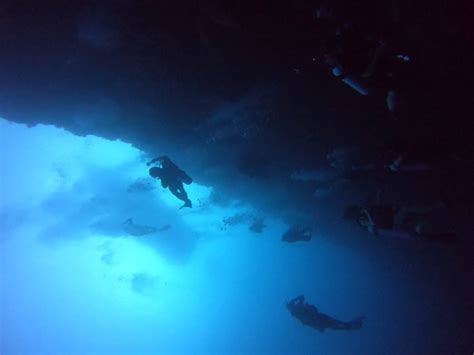 Scuba Diving The Blue Hole in Belize (Overview, Cost, Map & More)