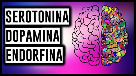 Música para Liberar SEROTONINA DOPAMINA ENDORFINA YouTube