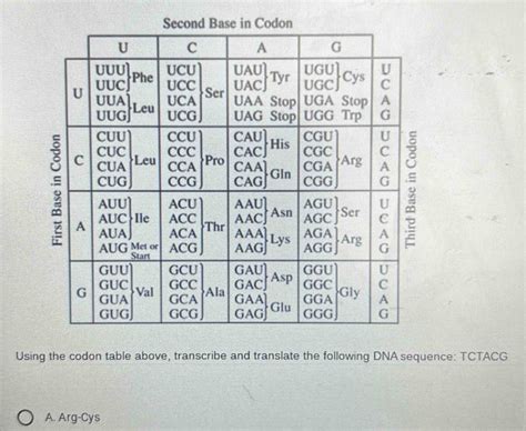 Solved: Second Base in Codon Using the codon table above, transcribe ...