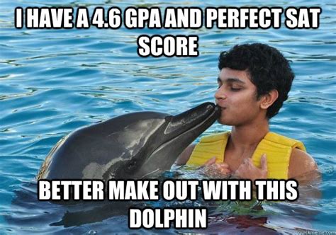 You Know How They Say Dolphin Vaginas Are The Closest You Can Have To Having Sex With A Human