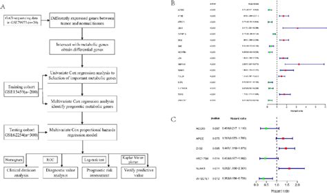 A Flow Chart Of The Prognostic Models Construction And Its