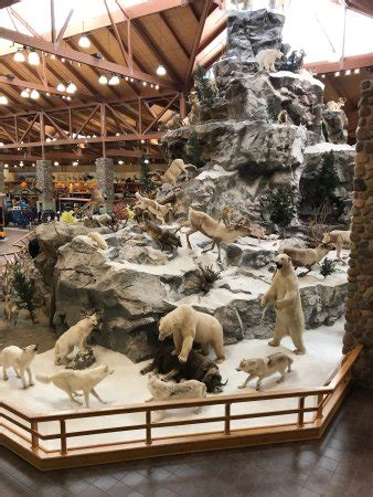 Cabela's (Dundee) - 2018 All You Need to Know Before You Go (with ...