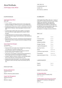 Chief Supply Chain Officer Resume Example