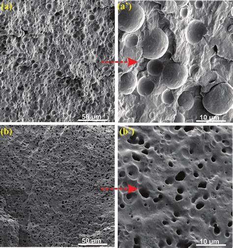 SEM Micrographs Of Cryo Fractured Surfaces Of A A PP PA6 70 30 And