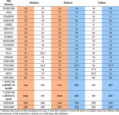 Haplotype analysis of the family. The upper part of the table depicts ... 