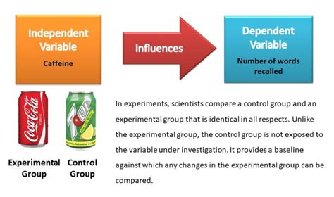 Controlled Variable Definition Science At Dawn Taylor Blog