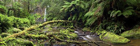 Hopetoun Falls photography location guide - FreePhotoGuides.com