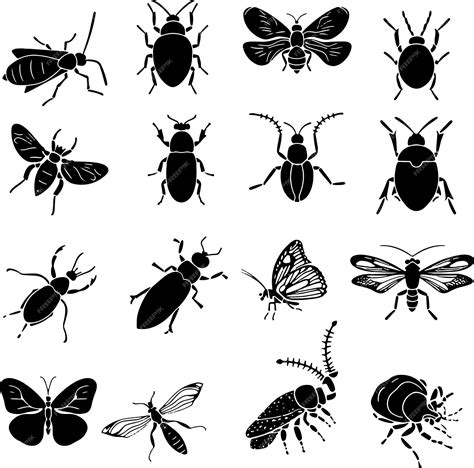 Premium Vector Insects Collection Black And White Silhouette Vector Illustration