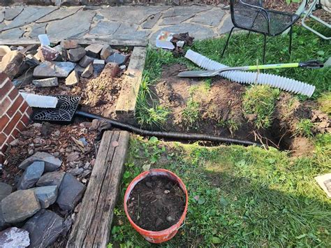 How To Build A Rain Garden In A Drainage Ditch Storables