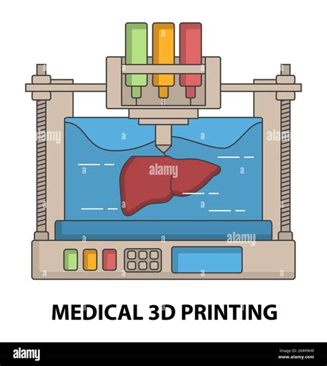 Tecnolog A De Bioimpresi N De H Gado Por Vector De Impresi N M Dica En