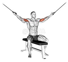 Cable Seated Overhead Curl - Video Guide | Lyfta