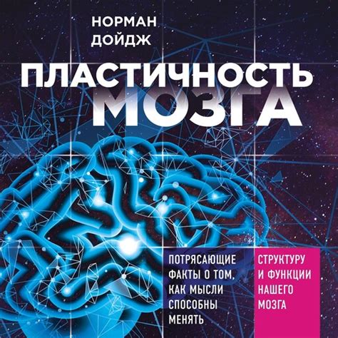 Пластичность мозга. Потрясающие факты о том, как мысли способны менять ...