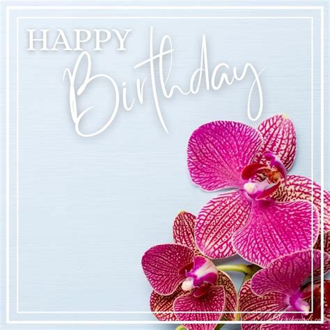 Happy Birthday Orchid Flower Images