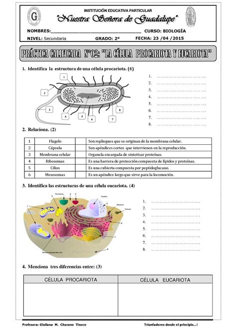 Guia De Celula Celulas Biologia Actividades Para Primaria En 2021 Nbkomputer