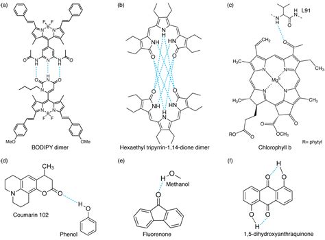 The Role Of H Bonds In The Excited State Properties Of Multichromophoric Systems Static And