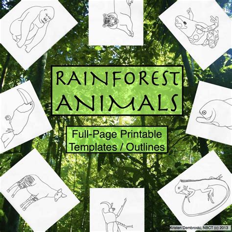 Rainforest Animals Printable Full-Page Outlines / Templates ALL Grades ...