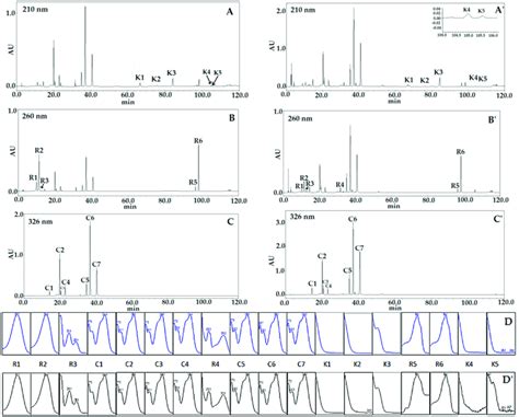 HPLC Chromatograms Of Eighteen Mixed Reference Standards A C Sample