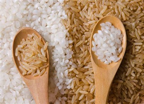 Arroz branco ou integral Descubra qual é a melhor escolha Divina Cidade