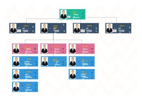 Free Editable Hierarchy Chart Examples | EdrawMax Online