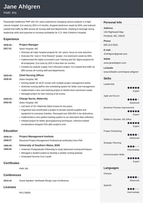 Free Professional Resume Examples For All Jobs