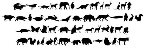 Animals Font By Alan Carr Fontriver