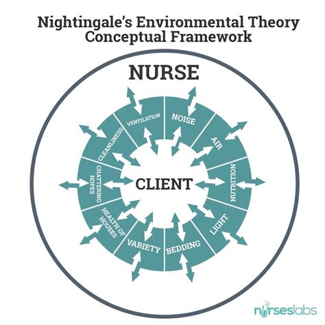 Florence Nightingale S Biography And Environmental Theory Study Guide