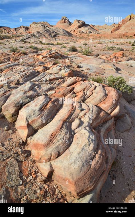 Colorate In Arenaria Della Valle Del Fuoco Del Parco Statale A Nord Di