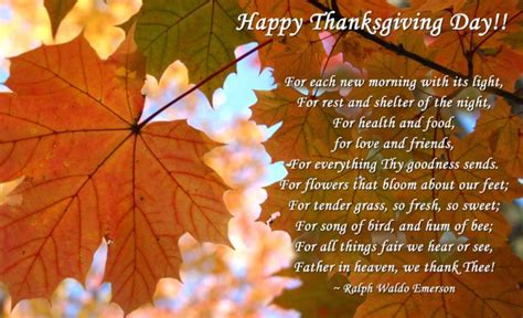 Happy Thanksgiving Quotes 2023, Inspirational Sayings, Wishes