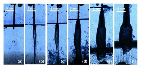 Evolution of a brinicle created with the 3D cell method, filmed with a ...