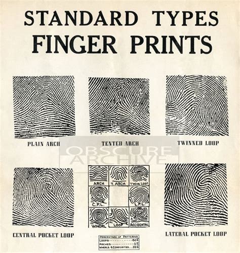 Fingerprint Identification Chart