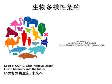 Ppt 生物多様性とは？ Powerpoint Presentation Free Download Id 3367706