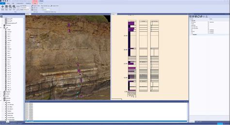 Sedimentary Logging In VRGS