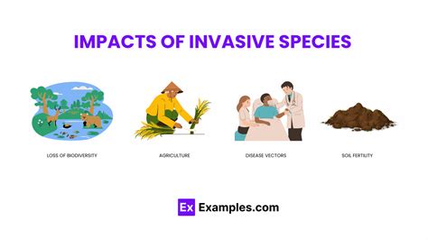 Invasive species, Definition, Characteristics, Examples, Impacts