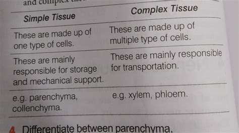 How Are Simple Tissues Different From Complex Tissues In Plants Please