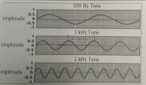 Characteristics of Sound Waves (Anatomy Exam #2) Diagram | Quizlet