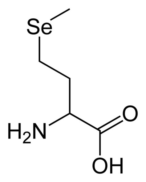 Cu L Es La Diferencia Entre Metionina Y Selenometionina Prodiffs