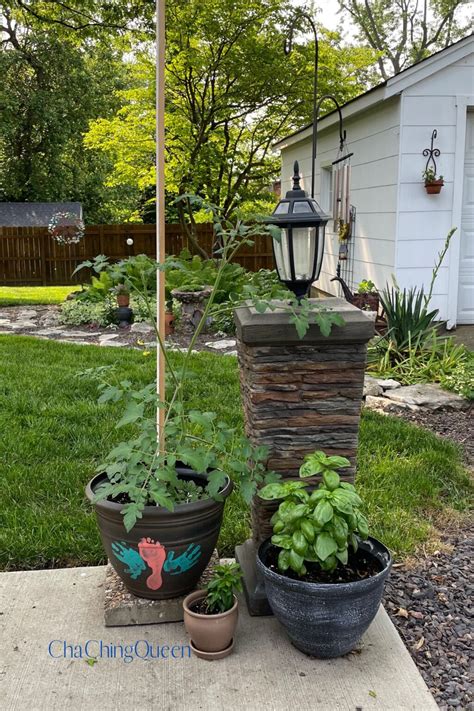 What Vegetables Can You Grow In Pots And Containers Cha Ching Queen