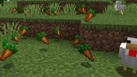 How To Get Carrots In Minecraft 2023