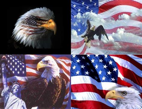 Lot Of 12 Patriotic Eagle Fabric Panel Quilt Squares